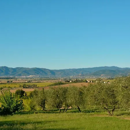 Il Pino Casa vacanze *