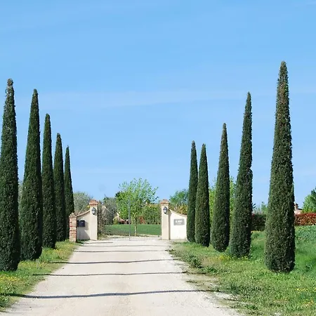 Il Pino Cortona