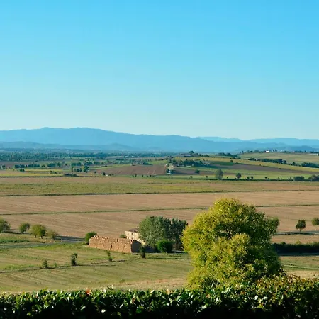 Il Pino Casa vacanze